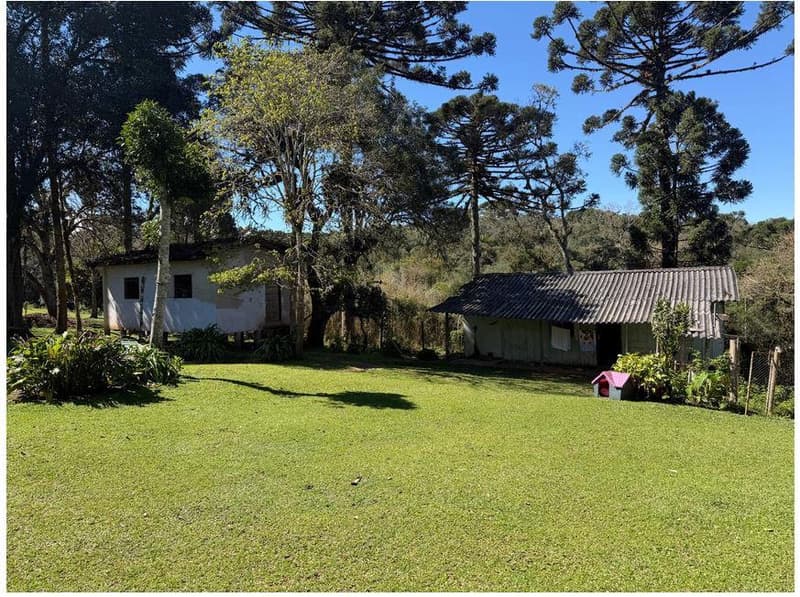 Foto 34 de 35: Area Rural em leilão em São José Dos Pinhais - PR — Sitio com área total de 120.974,16m², localizado Borda do Campo em São José dos Pinhais/PR