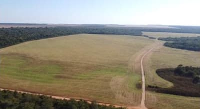 Area Rural em leilão em Vilhena - RO, bairro Zona Rural — IMÓVEL RURAL | A. T. 74,0462 HA | VILHENA/RO - LEILÃO EMPRESARIAL SISTÊMICO SICREDI