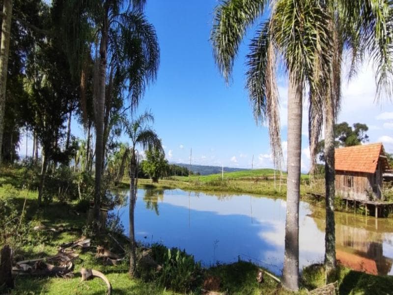 Foto 3 de 8: Area Rural em leilão em Bom Retiro - SC, bairro Costão do Frade — Fazenda, 8.0 ha, Bom Retiro / SC
