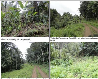 Foto 3 de 4: Area Rural em leilão em Timbó - SC — Área rural medindo 25 hectares, Estrada De Servidão, Timbó/SC - Rec Judic Porcelana Schmidt