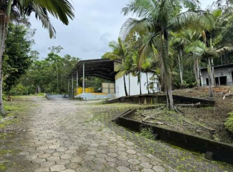 Foto 69 de 122: Terreno em leilão em Schroeder - SC — Terreno situado à Estrada Schroeder I, área de 94.840m², Schoeder/SC