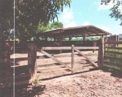 Foto 4 de 4: Area Rural em leilão em Juína - MT — IMÓVEL RURAL | A.T. 193,6 HA FAZ. GRAMADO | CASTANHEIRA MT