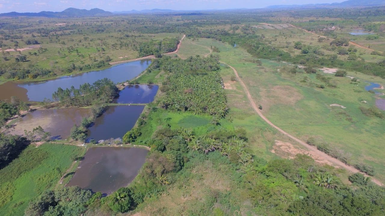 Foto 2 de 8: Terreno em leilão em Xinguara - PA, bairro Gavea Sul — Terreno de 81.373m², à margem esquerda da Br-155, Km 2,5, sentido Xinguara/Rio Maria, Xinguara-PA - Gavea Sul