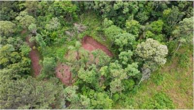 Foto 5 de 8: Area Rural em leilão em Francisco Beltrão - PR — Terreno rural com área de 30.000,00m², Localizado na Linha Água Vermelha, Zona Rural do Município de Francisco Beltrão-PR. Sem benfeitorias.
