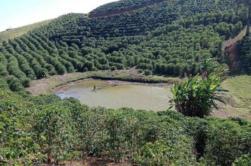 Foto 15 de 49: Area Rural em leilão em Caiana - MG — IMÓVEL RURAL COM ÁREA TOTAL DE 16,99,68 hectares- Em CAIANA/MG