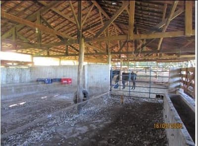 Foto 4 de 41: Area Rural em leilão em Cássia Dos Coqueiros - SP — IMOVEL - RURAL - SITIO com 16 hectares - ESTRUTURA COMPLETA - Perto do Asfalto na cidade de CÁSSIA DOS COQUEIROS