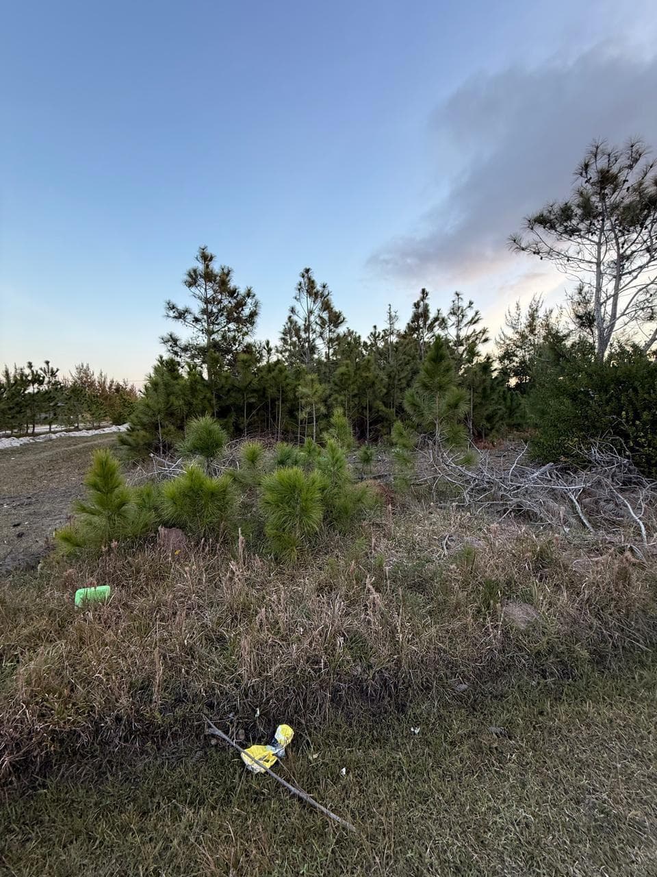 Foto 2 de 3: Terreno em leilão em Palmares Do Sul - RS — Terreno sem benfeitorias localizado na Rua Tiradentes, sem número, Balneário Quintão Frade - Palmares do Sul/RS
