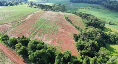 Foto 9 de 10: Area Rural em leilão em Nova Prata Do Iguaçu - PR — IMÓVEL RURAL COM ÁREA TOTAL DE 20.000,00 M2 EM NOVA PRATA DO IGUAÇU-PR