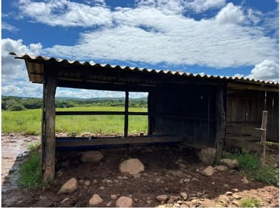 Foto 7 de 10: Area Rural em leilão em Alta Floresta D'oeste - RO — IMÓVEL RURAL | A.T. 49,79 HA | ALTA FLORESTA DOESTE/RO