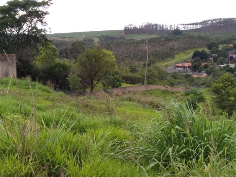 Foto 13 de 15: Terreno em leilão em Limeira - SP — Lote, Desocupado, Limeira / SP