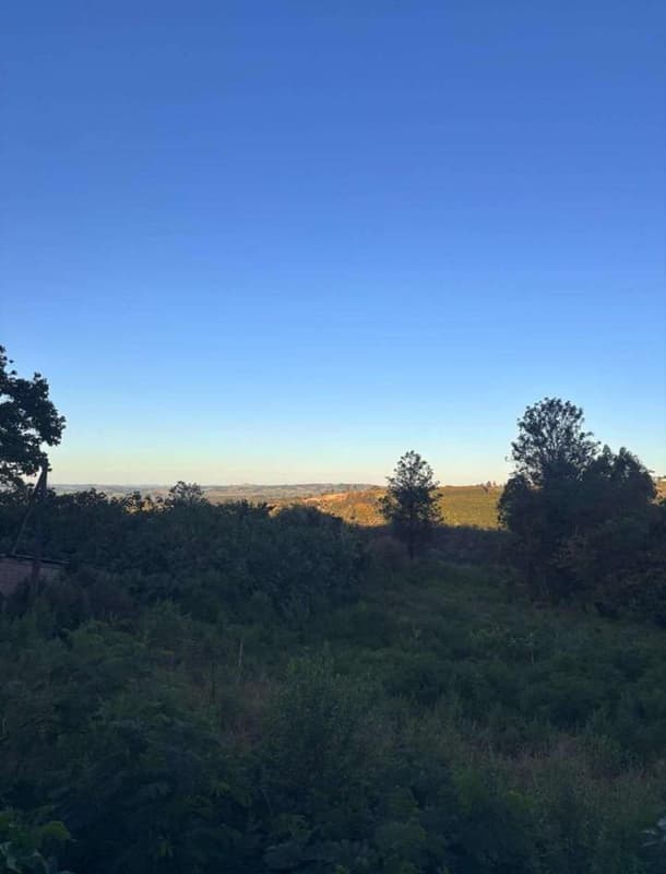 Foto 3 de 6: Area Rural em leilão em Ibaiti - PR — Chácara Três Irmãos com a área de 1,031 alqueires ou 24.955,00m², Ibaiti/PR
