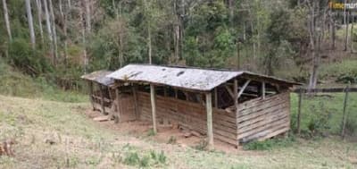 Foto 2 de 14: Terreno em leilão em Aurora - SC — TERRENO RURAL COM ÁREA DE 11,516 HA, EM AURORA-SC