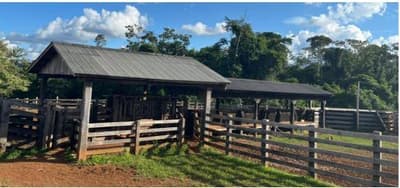 Foto 8 de 12: Area Rural em leilão em Aripuanã - MT — IMÓVEL RURAL | A.T. 797,7029HA ¿ FAZ. ÁGUA DA PRATA (DUPLA APTIDÃO) | ARIPUANÃ/MT