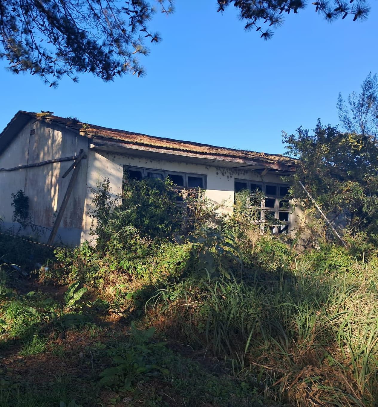 Foto 8 de 9: Terreno em leilão em Imbuia - SC — TERRENO RURAL COM ÁREA DE 974,40M² LOCALIZADO EM IMBUIA/SC