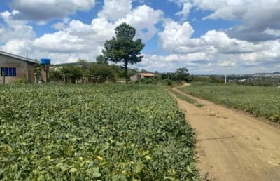 Foto 9 de 15: Area Rural em leilão em Pitanga - PR — VENDA CONJUNTA DE DUAS MATRÍCULAS- Em PITANGA/PR