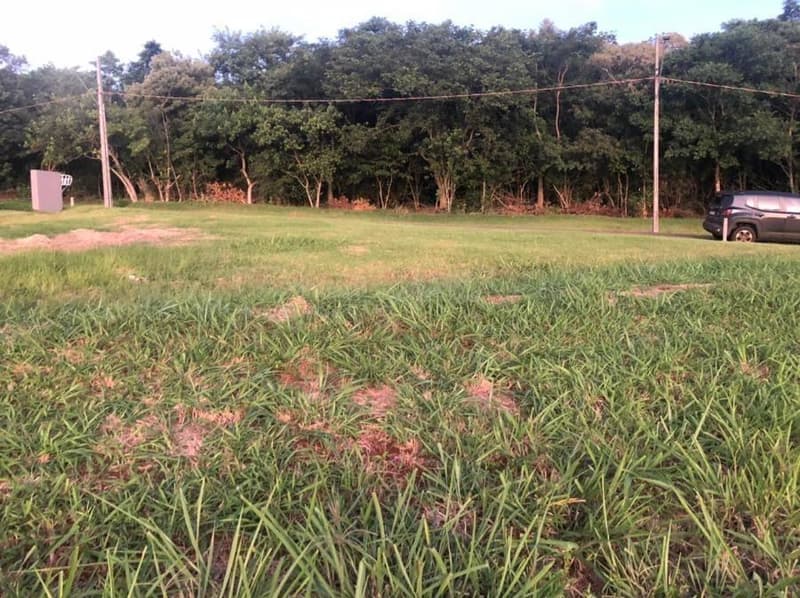 Foto 7 de 8: Terreno em leilão em Sertanópolis - PR — Lote, Sertanópolis / PR