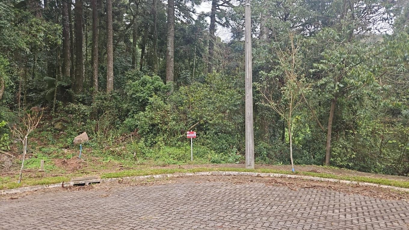 Terreno em leilão em Nova Petrópolis - RS — ITEM - 5 - TERRENO NO LOTEAMENTO BOSQUE DAS ARAUCÁRIAS C/775,24M²