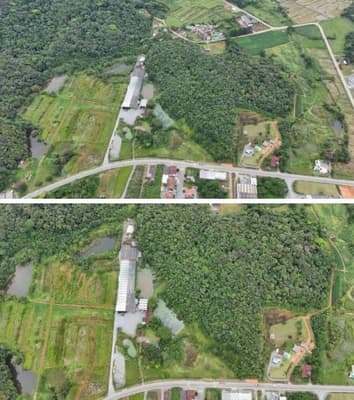 Foto 13 de 122: Terreno em leilão em Schroeder - SC — Terreno situado à Estrada Schroeder I, área de 94.840m², Schoeder/SC