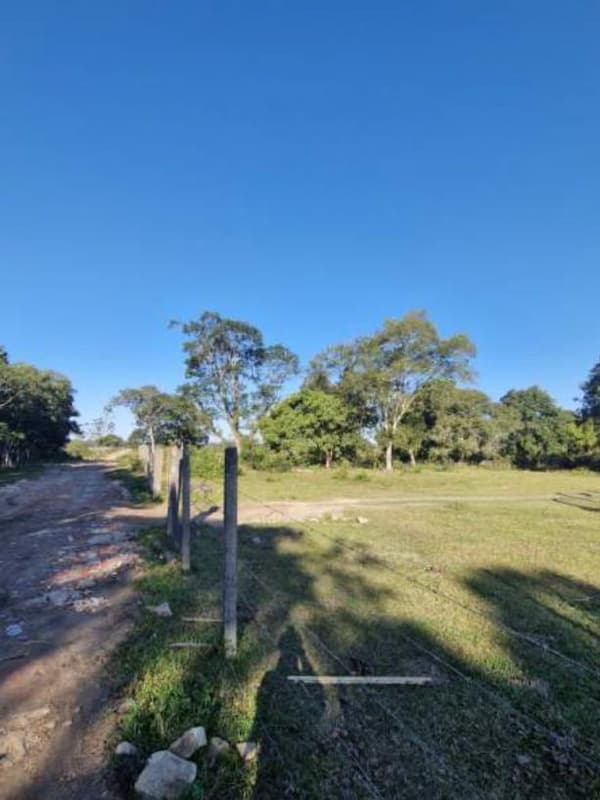 Foto 2 de 4: Terreno em leilão em São Francisco Do Sul - SC — Terras rurais com área de 67.905,74m² - São Francisco do Sul/SC