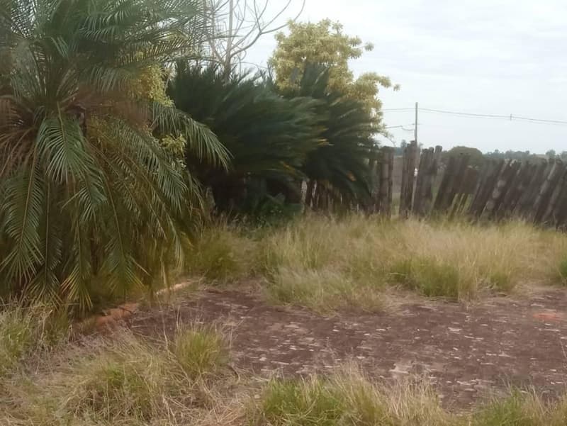 Foto 9 de 9: Terreno em leilão em Pérola - PR — Lote, 723.76 m2, Desocupado, Pérola / PR (65% abaixo da avaliação)