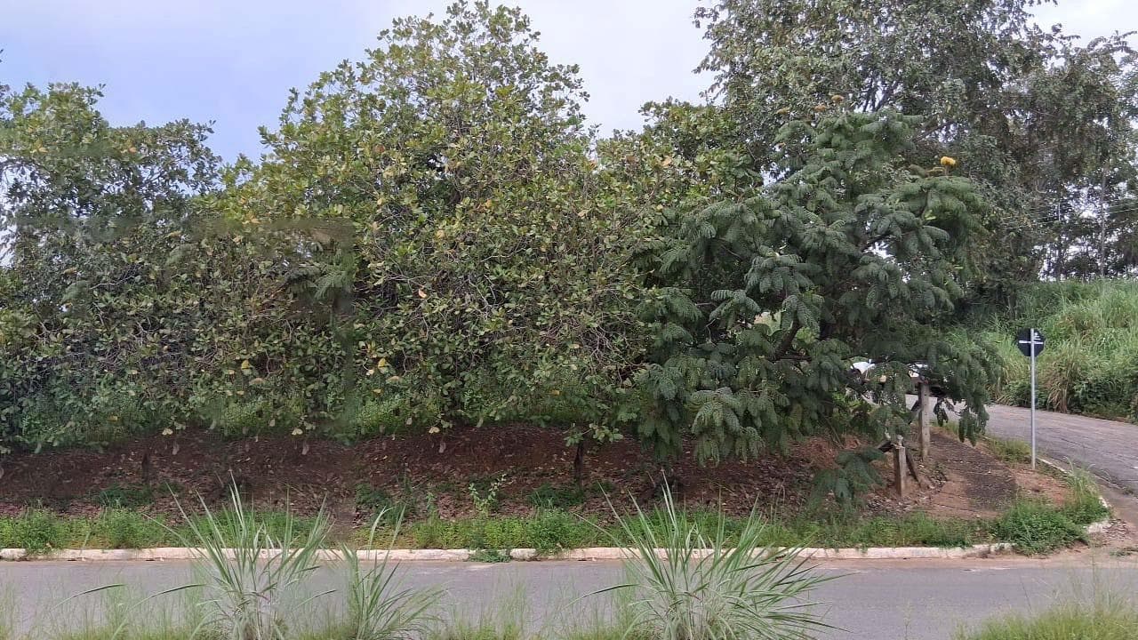 Foto 7 de 9: Terreno em leilão em Minaçu - GO, bairro Vila Residencial de Minaçu — Terreno Urbano 649m² | Vila Residencial de Minaçu - Minaçu/GO |Localização Nobre e Infraestrutura Completa: Ideal para Construção e Investimento!