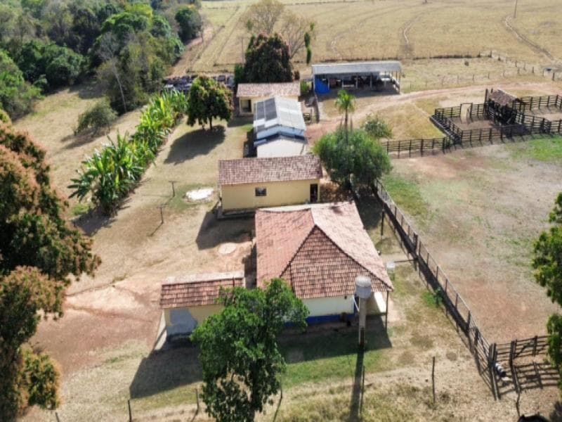 Foto 25 de 30: Area Rural em leilão em Buritis - MG — Fazenda, 143.77 ha, Buritis / MG