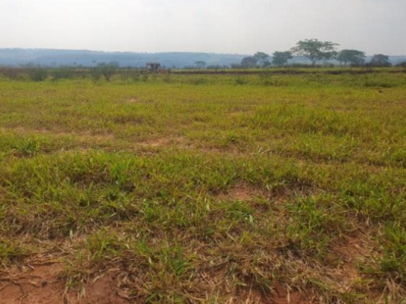 Foto 1 de 3: Terreno em leilão em Marília - SP, bairro Jardim Botânico I — Lote, Marília / SP