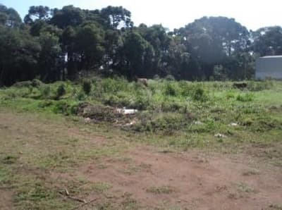 Terreno em leilão em Balsa Nova - PR — Terreno com benfeitorias - área 18.138,70m² - Balsa Nova/PR