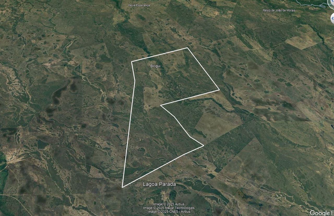 Area Rural em leilão em Corumbá - MS — FAZENDA BIRIGUI COM 7.441,9723HA EM CORUMBÁ/MS