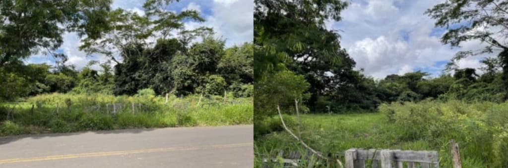 Foto 2 de 2: Terreno em leilão em Araçatuba - SP, bairro Jardim Nova Yorque — Imóvel Urbano Lote Com área total de 420m² - Araçatuba - SP