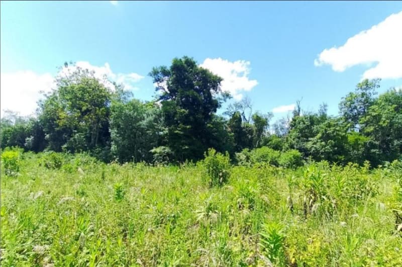 Foto 9 de 10: Area Rural em leilão em São José Do Inhacorá - RS — IMÓVEL RURAL COM ÁREA DE 20.000,00 M2² - EM SÃO JOSÉ DO INHACORÁ/RS