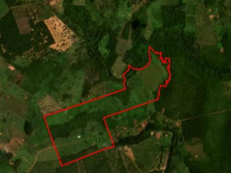 Foto 1 de 3: Area Rural em leilão em Estreito - MA — Area, 84.55 ha, Estreito / MA