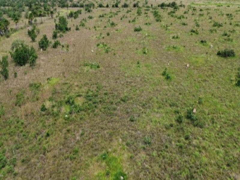 Foto 3 de 4: Area Rural em leilão em São Félix Do Araguaia - MT — Fazenda, 1242.68 ha, São Félix do Araguaia / MT