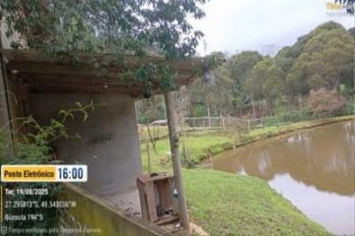 Foto 41 de 51: Terreno em leilão em Aurora - SC, bairro Área Rural — IMÓVEL RURAL COM ÁREA TOTAL DE 11,516 ha- Em AURORA/SC