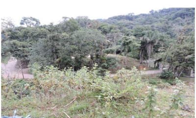 Foto 5 de 5: Area Rural em leilão em Blumenau - SC — Área rural medindo 250.560m², sem benfeitorias, Rod. Guilherme Jensem, Itoupava, Blumenau/SC - Rec Judic Porcelana Schmidt