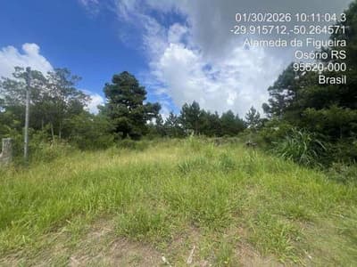 Foto 2 de 4: Terreno em leilão em Osório - RS, bairro Bosques de Albatroz — Terreno com 10.545,56m² situado à Alameda da Figueira - Lote 16 Quadra 04, Bosques de Albatroz, Osório - RS
