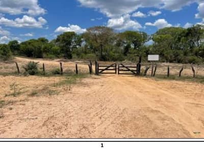 Area Rural em leilão em Barão De Melgaço - MT — Imóvel rural denominado Fazenda Baia São Benedito (antiga Baia das Pombas- com área de 13.000,00 hectares, localizado na margem esquerda do Rio Cuiabá, no Município de Barão de Melgaço/MT