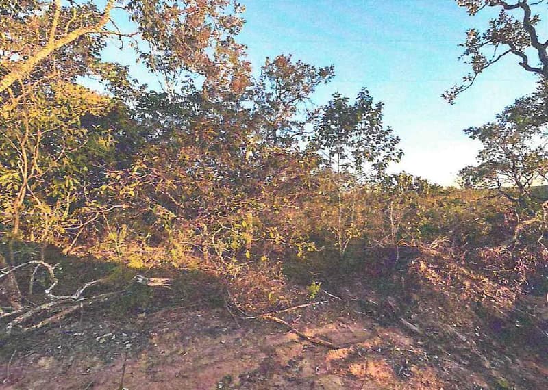 Foto 5 de 7: Area Rural em leilão em Serranópolis - GO — IMÓVEL RURAL - A.T 38,72 HA - SERRANÓPOLIS/GO