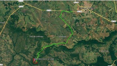 Foto 6 de 8: Area Rural em leilão em Nova Olímpia - MT — IMÓVEL RURAL - "FAZENDA IBIPORÃO I - 140HA, NOVA OLÍMPIA/MT - EXPLORAÇÃO DE PECURÁRIA