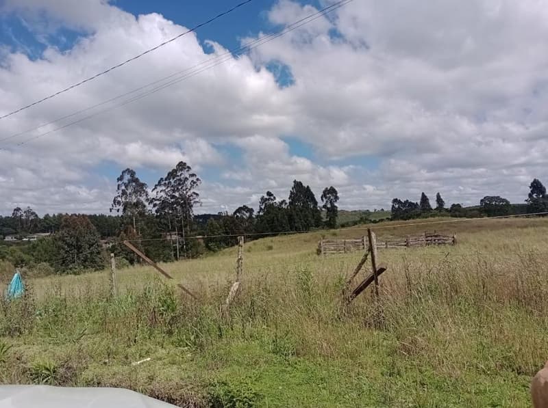 Foto 3 de 11: Area Rural em leilão em Timbó Grande - SC, bairro Interior — IMÓVEL RURAL COM ÁREA TOTAL DE 8,8804 hectares EM TIMBÓ GRANDE-SC