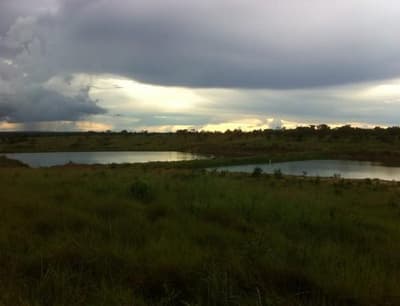 Area Rural em leilão em Nossa Senhora Do Livramento - MT — FAZENDA COM 100,9418 Ha | Nossa Senhora do Livramento -MT