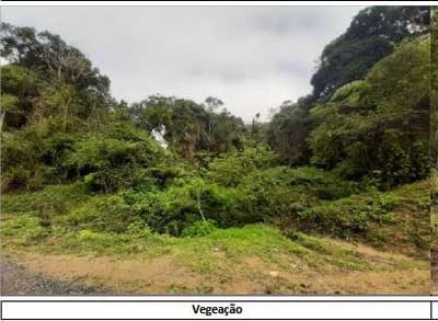 Foto 4 de 13: Area Rural em leilão em Campina Grande Do Sul - PR — Terras rurais, com área de 845,9 hectares, localizada no Município de Campjna Grande do Sul/PR.