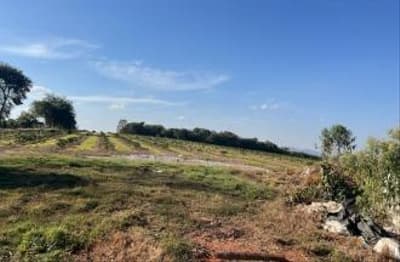 Area Rural em leilão em Guapé - MG — IMÓVEL RURAL COM ÁREA TOTAL 23,6476 HA EM GUAPÉ-MG