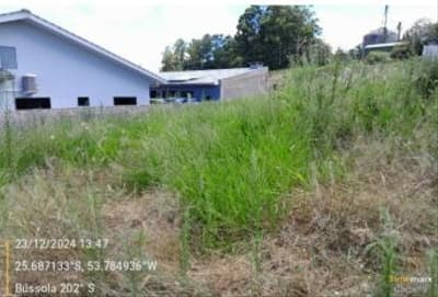 Foto 8 de 9: Terreno em leilão em Capanema - PR — IMÓVEL URBANO COM ÁREA TOTAL DE 350,03 M2, EM