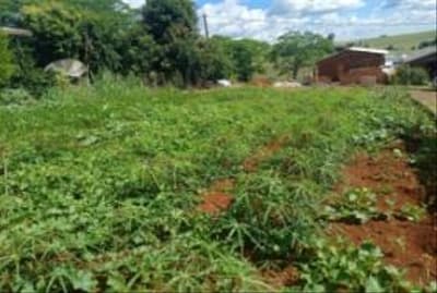 Foto 6 de 7: Terreno em leilão em Derrubadas - RS — TERRENO URBANO COM ÁREA TOTAL DE 450,00m² - TENENTE PORTELA/RS