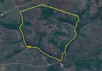 Foto 6 de 8: Area Rural em leilão em Rio Sono - TO — FAZENDA SANTA RITA DE CÁSSIA - RIO SONO/TO