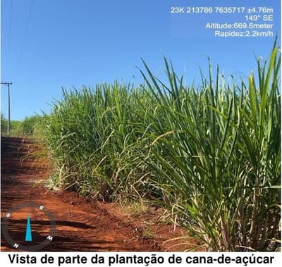 Foto 6 de 8: Area Rural em leilão em Cravinhos - SP — IMOVEL RURAL - SITIO SANTO ANTONIO - localizado a 2,2km da cidade de Cravinhos/ SP