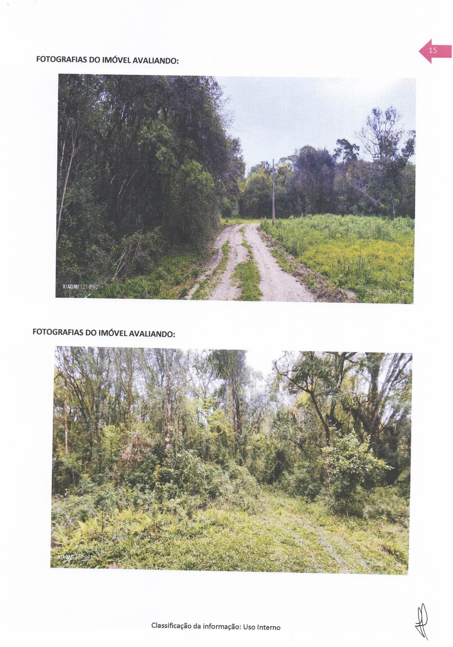 Foto 8 de 8: Terreno em leilão em Rebouças - PR — Um terreno rural, situado na localidade de Riozinho ou Potinga, no município e Comarca de Rebouças, PR, com a área superficial de 275.190,00 m² (duzentos e setenta e cinco mil, cento e noventa metros quadrados), ou 27,5190 hectares, cadastrado no INCRA so