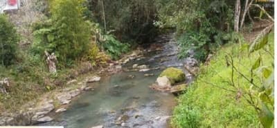 Foto 9 de 14: Terreno em leilão em Aurora - SC — TERRENO RURAL COM ÁREA DE 11,516 HA, EM AURORA-SC
