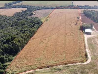 Area Rural em leilão em Araruna - PR — IMÓVEL RURAL COM ÁREA DE 137.893m2, EM ARARUNA-PR